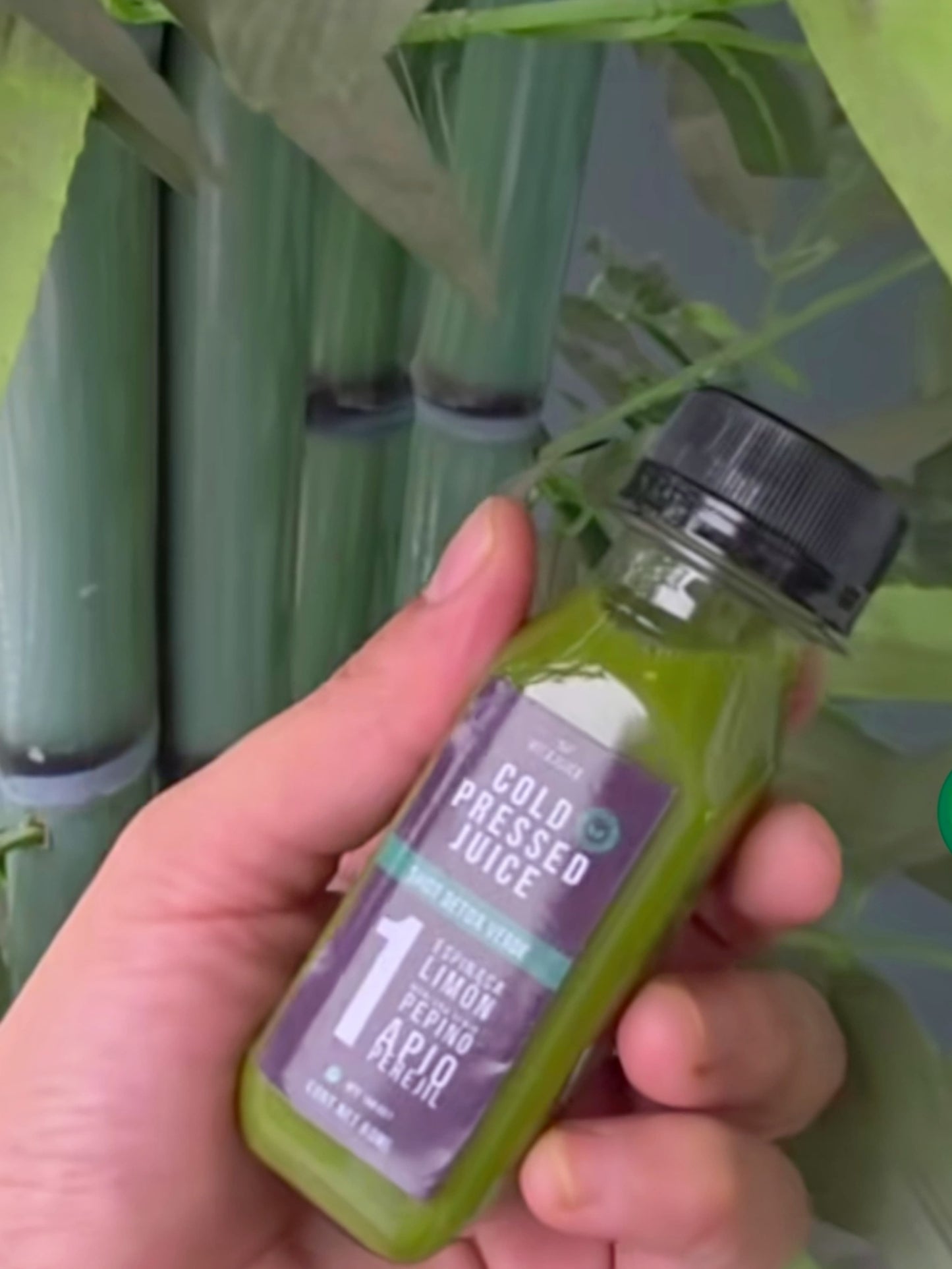 🧃 Shots Naturales Cold Pressed – VitaJuice by Krisomé🌱